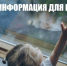 Полицейские Ступинского округа предупреждают родителей об опасности выпадения детей из окон - Администрация городского округа Ступино