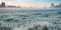 Внимание, заморозки до -5°: жителей Подмосковья предупреждают о похолодании 8 и 9 мая - Regions.Ru