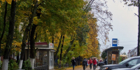 Осенний холод придет в эти дни в Подмосковье - Regions.Ru