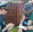 Защита от огня: инспекторы МЧС в Ступине учат жителей предотвращать пожары - Regions.Ru