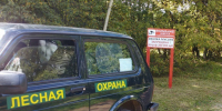 Лес под защитой: в Ступине устанавливают новые знаки и камеры - Regions.Ru