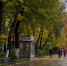 Какая погода будет в сентябре, рассказали синоптики - Regions.Ru