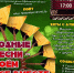 131125 концерт - ТВ-Комсет