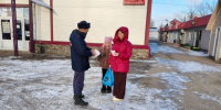 Дежурство у печи: пожарные Ступина учат, как не допустить возгорания в морозы - Regions.Ru
