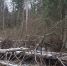 DSC02395 - Городской округ Ступино